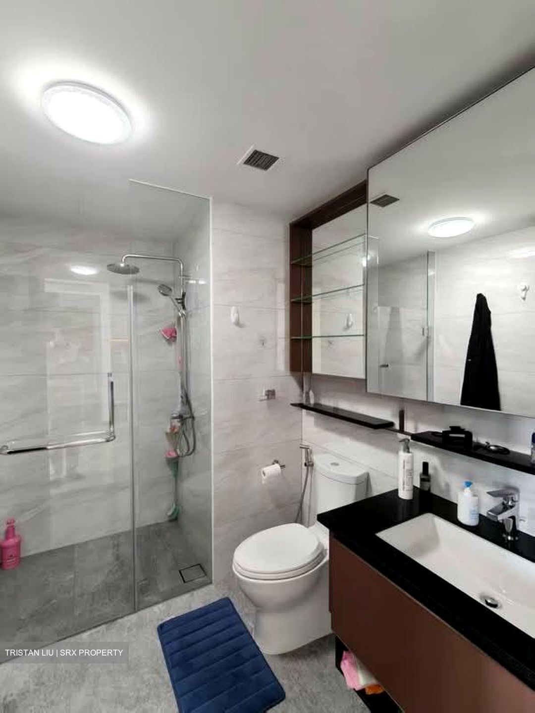 Normanton Park (D5), Apartment #560113631